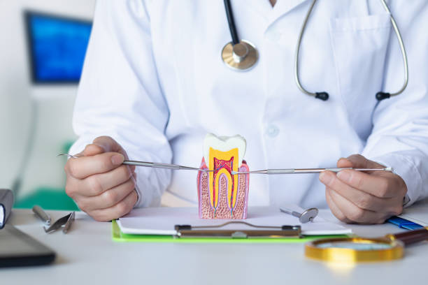Best Walk-In Emergency Dental Services in Bellville, OH